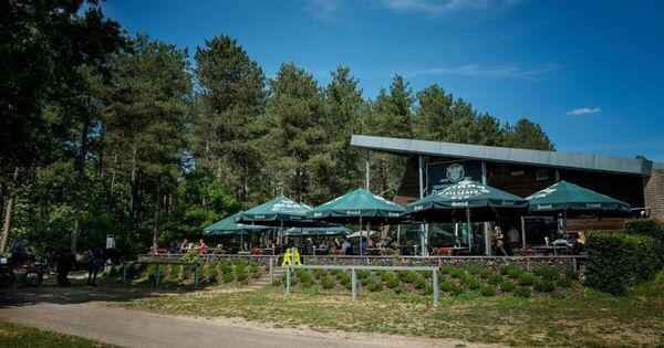 Koerse Kaffee brasserie-de-boshut